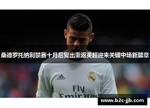 桑德罗托纳利禁赛十月后复出重返英超迎来关键中场新篇章